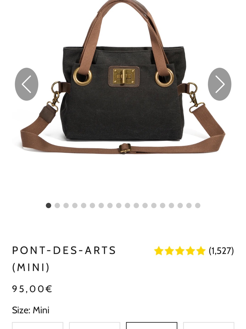 Pont-des-Arts Mini Crossbody Bag in Black and Brown